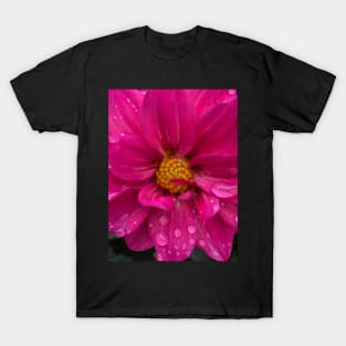 The Real Revolution Will Be Love: Be Like the Fiery Magenta Dahlia Flower T-Shirt